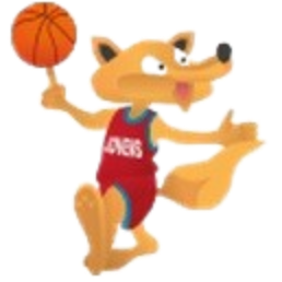 https://img.fjnpfdc.com/img/basketball/team/02db543865099b04638d400b476bca7d.png