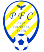 https://img.fjnpfdc.com/img/football/team/53697d46efb3c8cd745cd68f7ae344ce.png